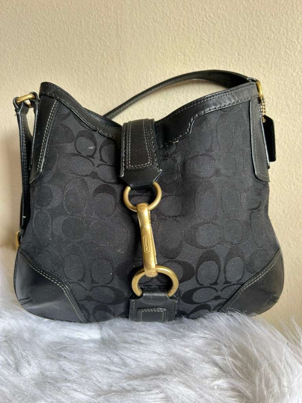 Coach hobo y2k bag